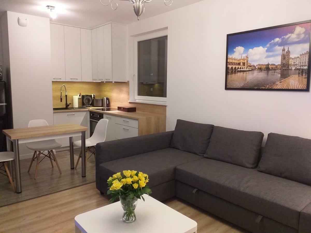 Am Apartament クラクフ エクステリア 写真
